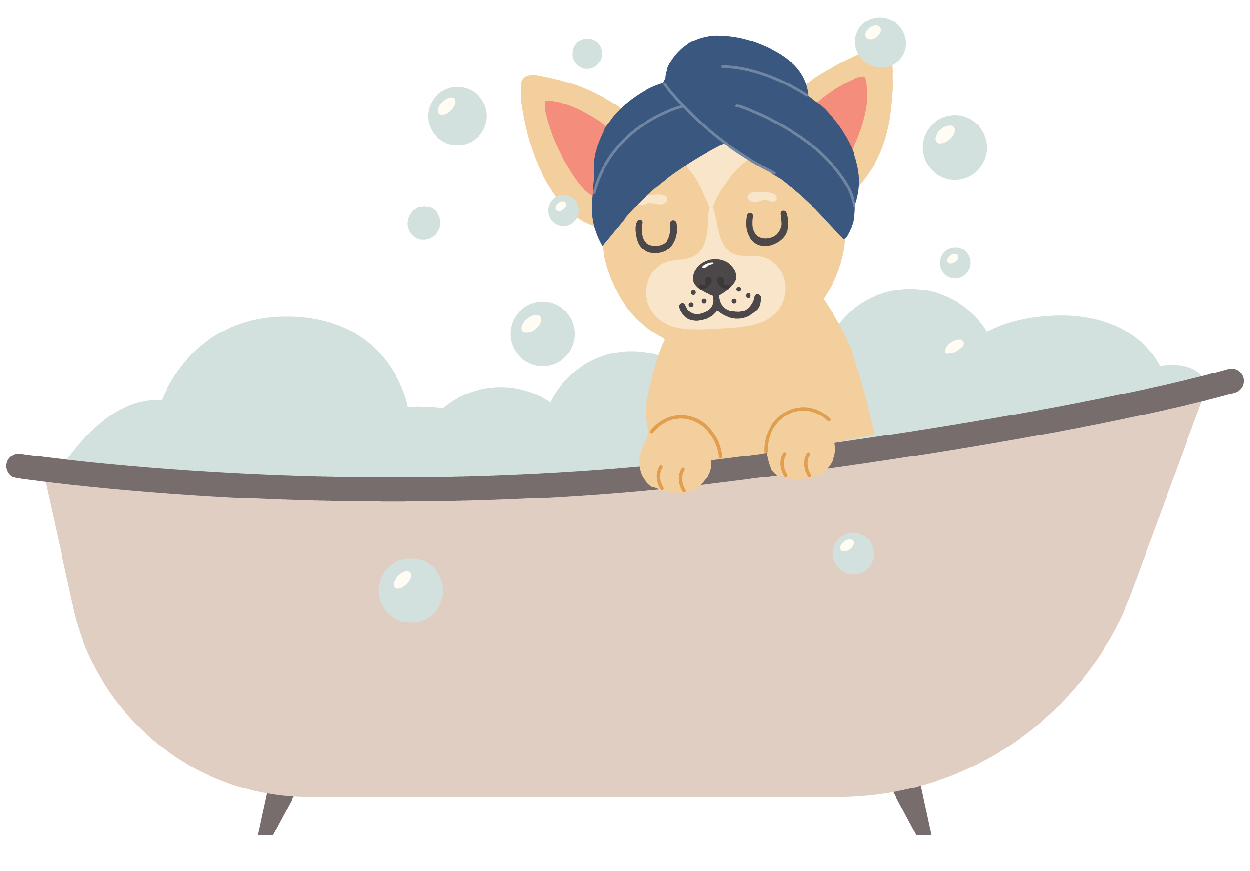 Plush-Paws-Chihuahua-bathing-dog-grooming-fun-new Plush Paws Chihuahua bathing grooming fun