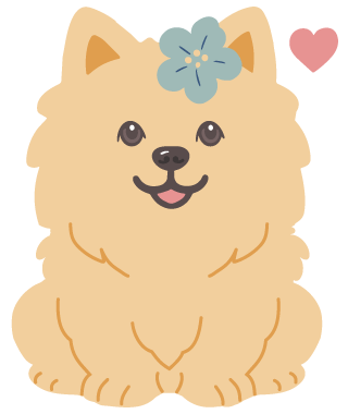 Welcoming-pom-pom-on-home-page